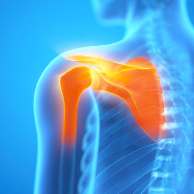 Orthopedic Shoulder Specialist